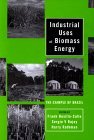 Industrial Uses of Biomass Energy; The Example of Brazil